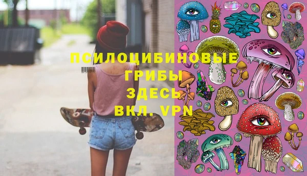 крисы Абаза