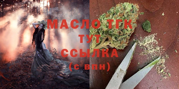 крисы Абаза