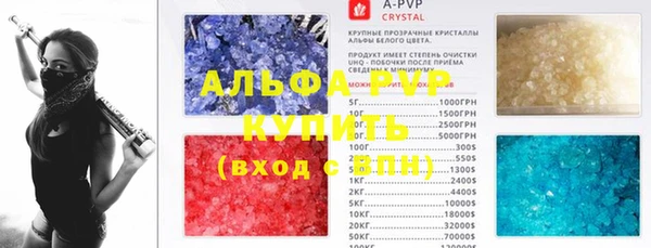 крисы Абаза